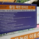 도그베이 수원 | 경기도 용인 애견수영장 여기다댕댕이 골드펫&amp;도그베이 내돈내산 후기 대형견 강아지 물놀이