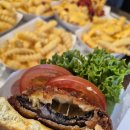 25년 겨울 [서울 영등포] 타임스퀘어 햄버거 맛집 <<쉑쉑버거>> 슈룸버거 후기 Shroom Burger
