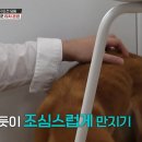 감동농장 이미지