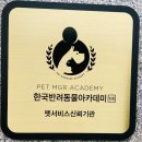 고양이잡화상점 이미지