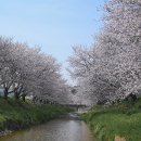 성북2리 마을회관 이미지