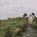 보광팜 | 스마트팜 자동화 앱 완전 비교 분석