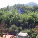 진전면938 이미지