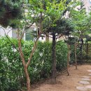 개인주택 이미지