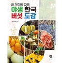 석순자
