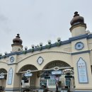 눈치 - 북구 와우로 14 | 🎡평일 에버랜드 방문 후기 : 눈치게임 성공(?)🎢