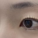 우아래쉬스 이미지