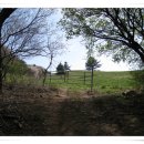 김종필농장 이미지