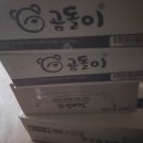 일만원장터 수국삽목가지 이미지