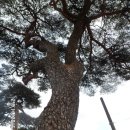 밀양농협 남명지점 이미지