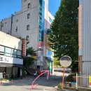디뚜윌(DIDDOWILL)