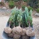 그린농장2 이미지