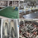 사계절 민물 이미지