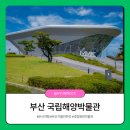 국립해양박물관 화장실(외부) | 부산 아이와 가볼만한곳 국립해양박물관 실내데이트