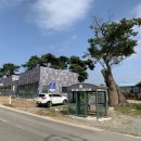 고래불 비치파크골프장 | 전국 파크골프장 투어(31)- 충청남도 서산시 음암면 나이스파크골프장에서 라운딩