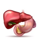 수성S여성의원 이미지