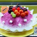 에코 브래드 하우스 이미지