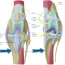 효천동물병원 이미지