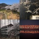 체육공원사거리(18260) | [공지] 대구 경주 숨은 벚꽃 명소 추천, 드라이브 코스 및 실시간 벚꽃 근황 공유