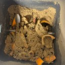 이지시스템 | [내돈내산]린클 이지 솔직 후기 히팅 시스템 바뀐 거 알고 삼? 분쇄보단 미생이?