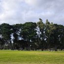 9 | 🏌️‍♂️ 멜버른 Albert Park Golf Club 9홀 라운딩 후기