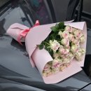 새경산꽃직판장 이미지