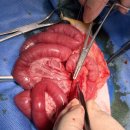 태백동물병원 이미지