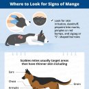 하임동물의료센터 이미지