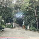 하루효소편백 | 통영 가볼만한곳 나폴리농원 편백나무숲 힐링코스