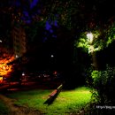 개나리아파트 놀이터 이미지