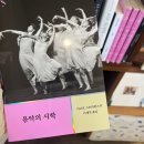 카카오 이미지