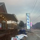 용천송어