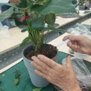 정산보건지소 이미지