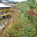 이종범농장 이미지