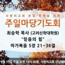 사랑마당주