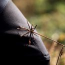 24시 케어동물의료센터 이미지