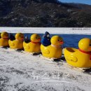 산정호수마을회 이미지