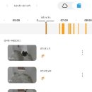 송파 마리동물병원 이미지