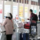 자유국제여행사 이미지
