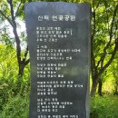 갈잎소 티스토리
