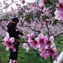 제비식당 이미지