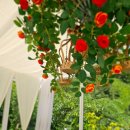 산골강남 이미지