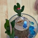 문화초병설유치원 이미지