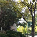 세화유치원 | [분당, 재건축을 꿈꾼다 2편] 서현동 효자촌 그린타운 LG아파트 임장기