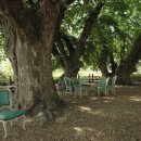 삼정자로 이미지