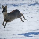 약속의 땅 이미지