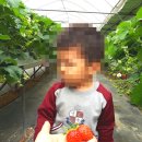 꽃별어린이집 이미지