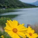 라온카페 이미지