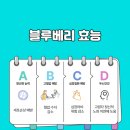 사계절냉동 이미지