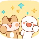 더블에스플라이 이미지